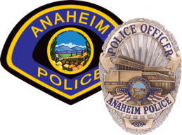 Connect Anaheim