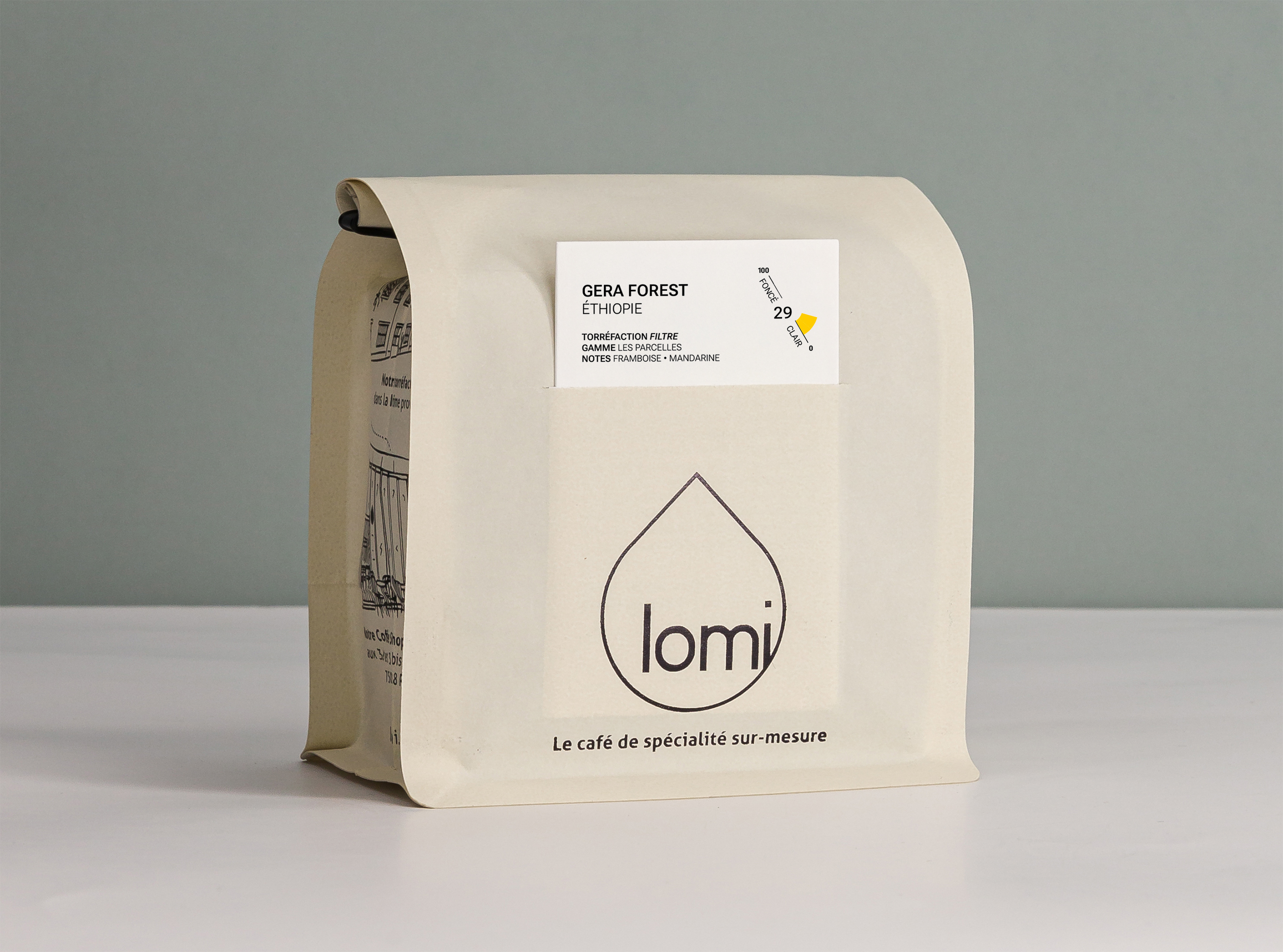 Gera Forest Honey BIO