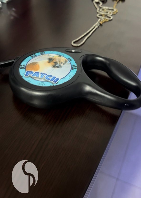 Personalized Retractable Pet Leash personalized by Swizz Digital Jamaica
