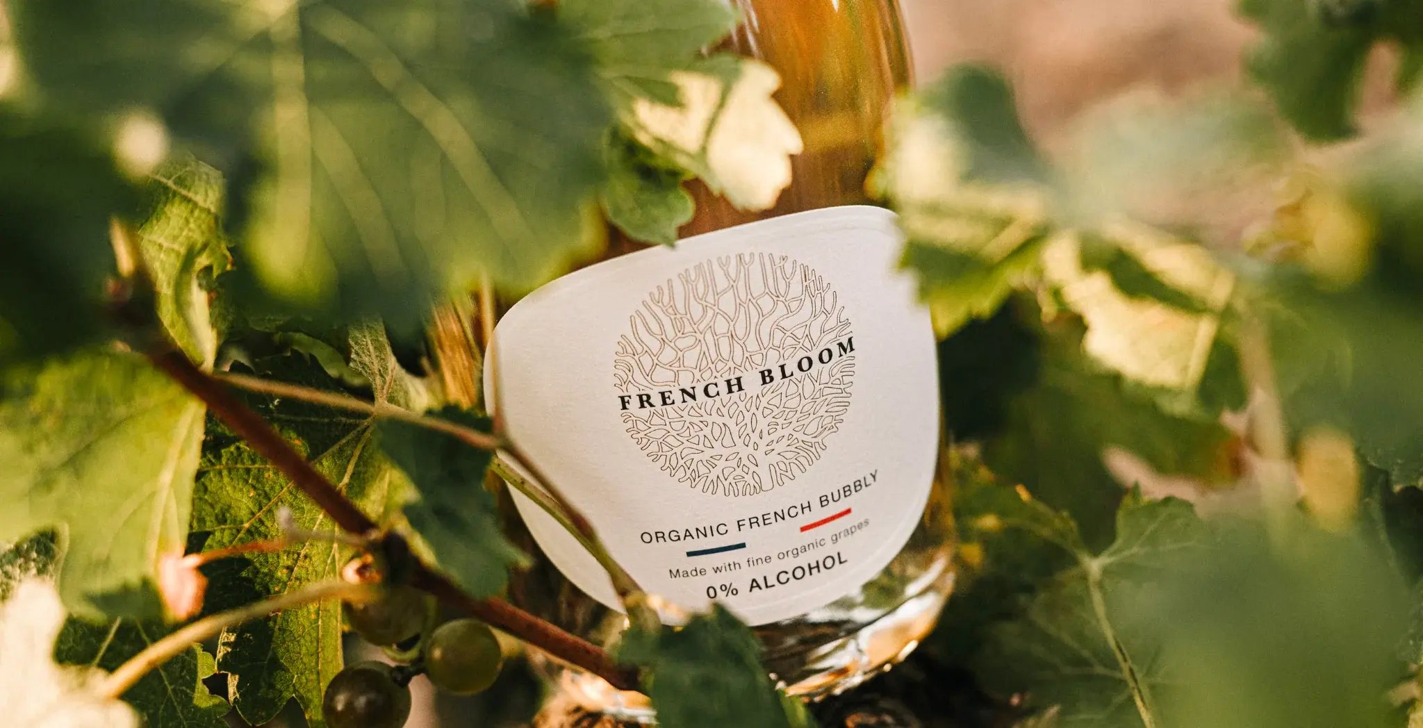 T - French Bloom