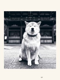 The Monocle Book of Japan