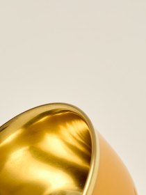 Champagne bowl