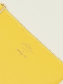 Medium zip case