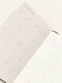 Weekly diary 2026