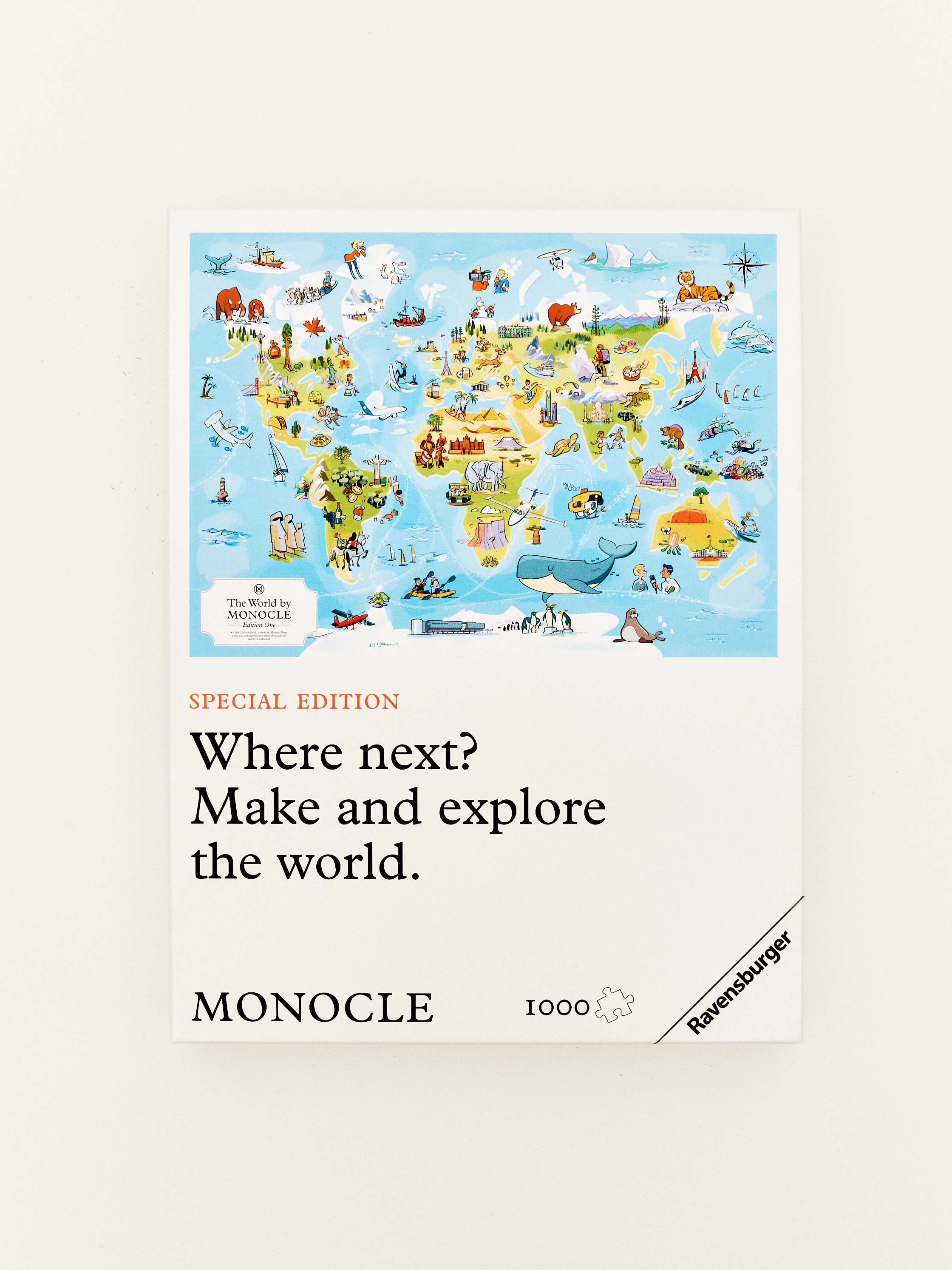 World map puzzle