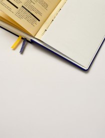 Weekly Diary 2027