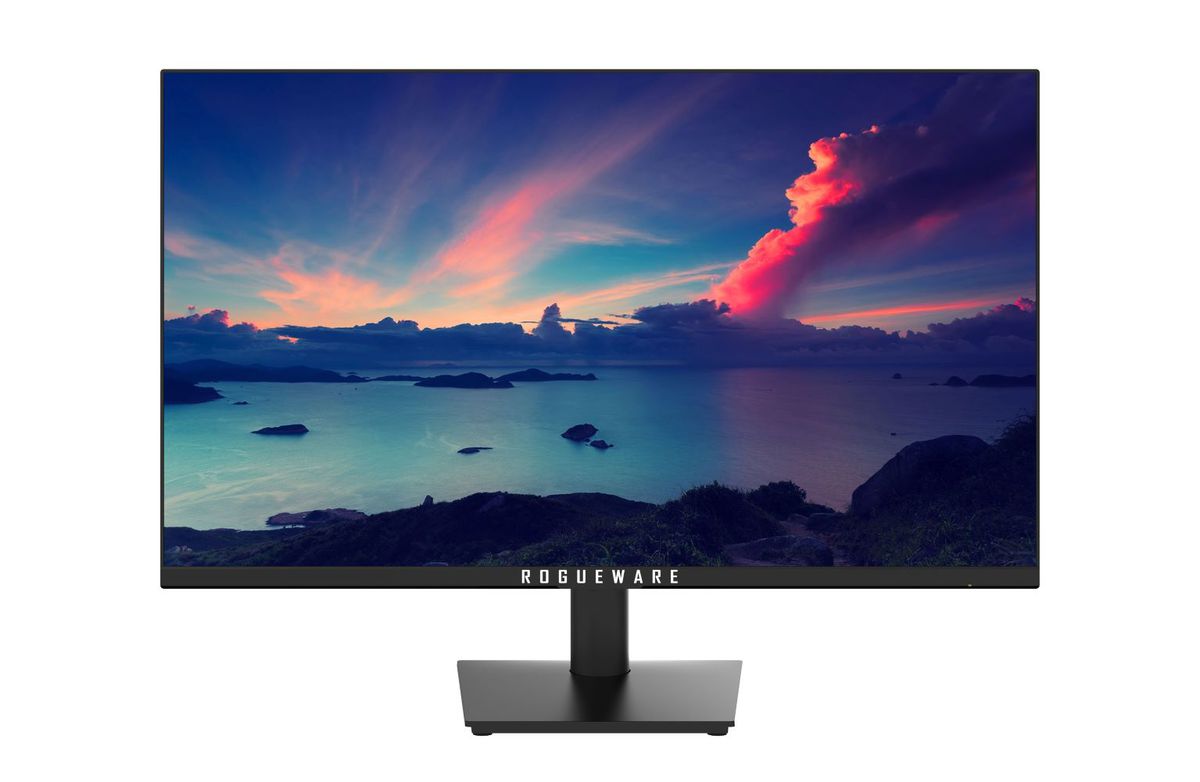 Rogueware W2413S Monitor