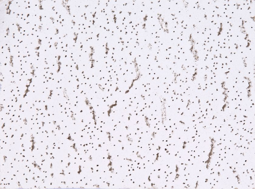 Armstrong Tatra Board 958 600x600x15 mm (16 pl/pk) *Original