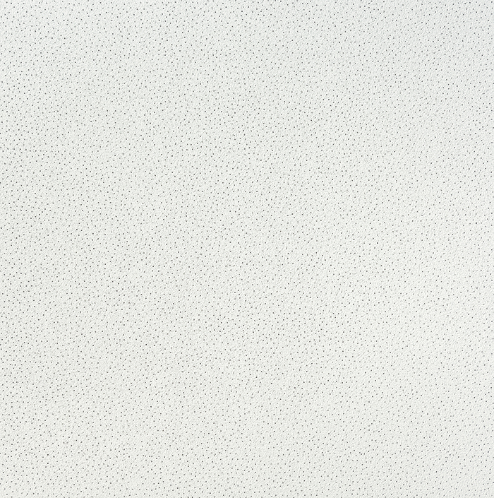KCS Sahara Board 300x1500x15mm (10pl/pk)