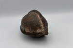 Small Ceramic Seed Pod / 7 Preview