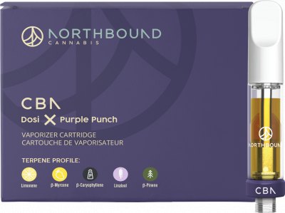 CBN:THC - (DOSIDOS X PURPLE PUNCH) 1g Vape