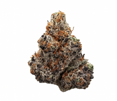 Northern Lights
