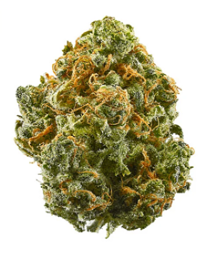 Blue Dream 