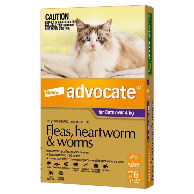 Advocate Cat 4KG plus Large 6