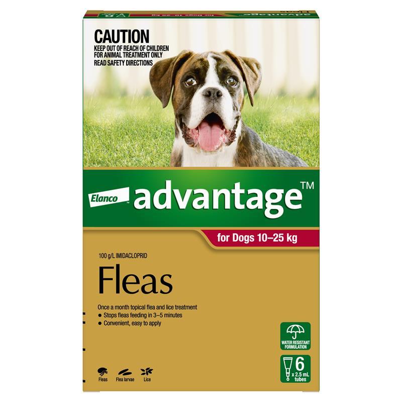 Advantage for Dogs 10 - 25 kg 6 pack