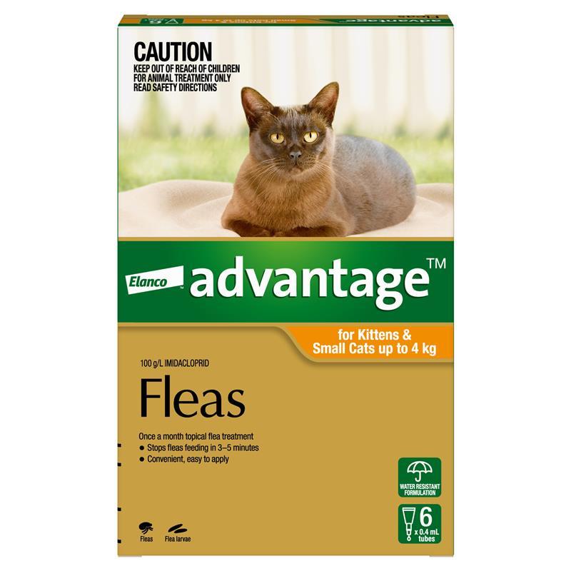 Advantage for Kittens & Cats up to 4kg 6 pack