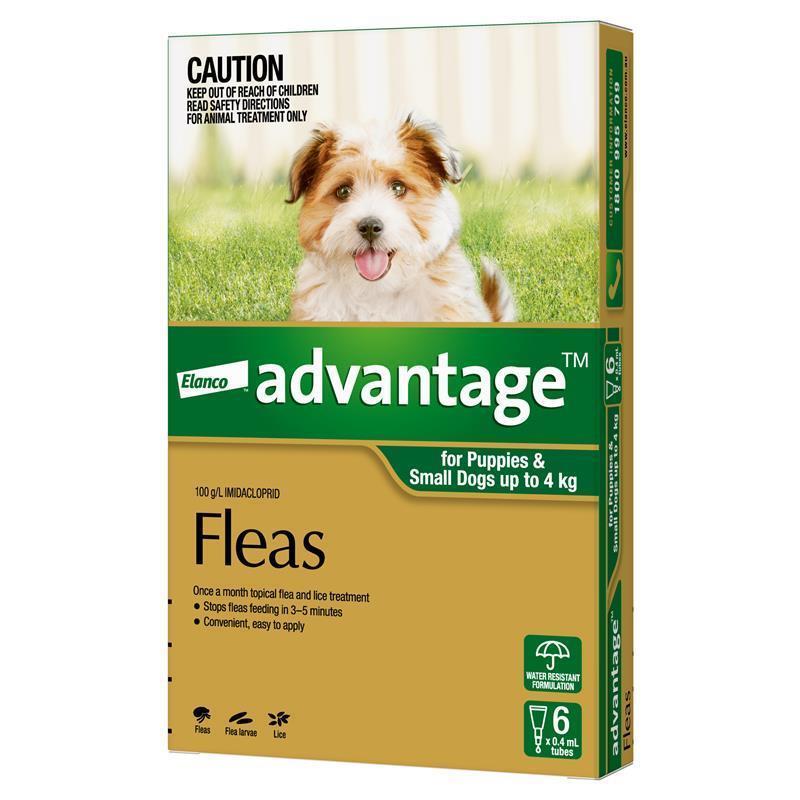 Advantage Dog 0-4Kg Small 6