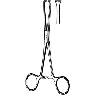 Sklar Boys-Allis Tissue Forceps, Heavy 5x6 Teeth