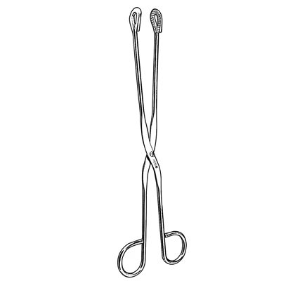 Sklar Utility Forceps, Straight, 8 Inch