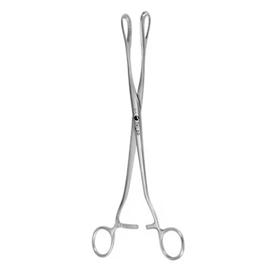 Sklar Saenger Ovum Forceps, 10-1/2 Inch