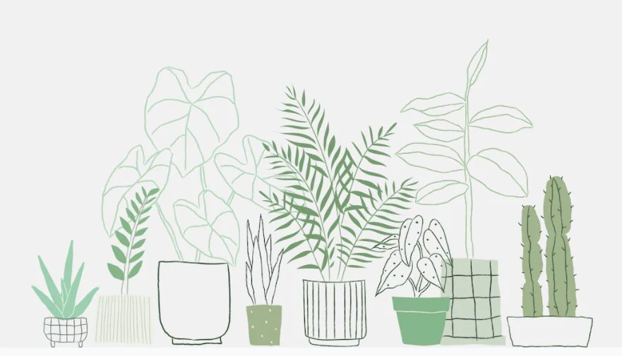 ¿Cuáles plantas tener en la oficina?