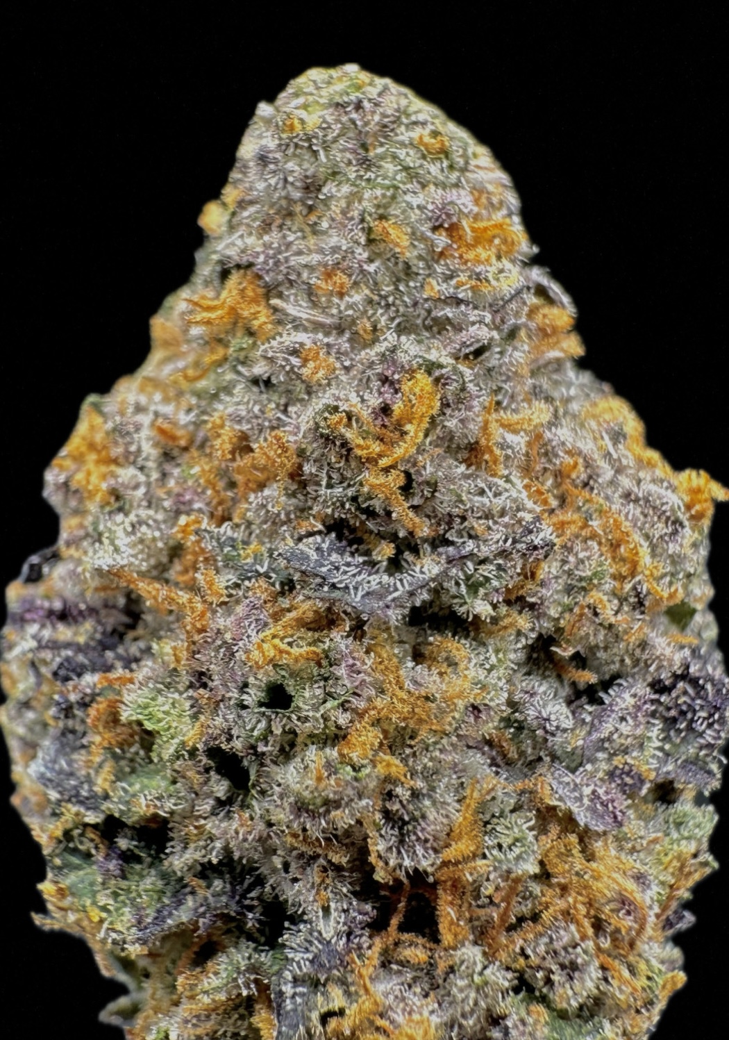 C.R.E.A.M. Smoothie - [Fresh Vibez]