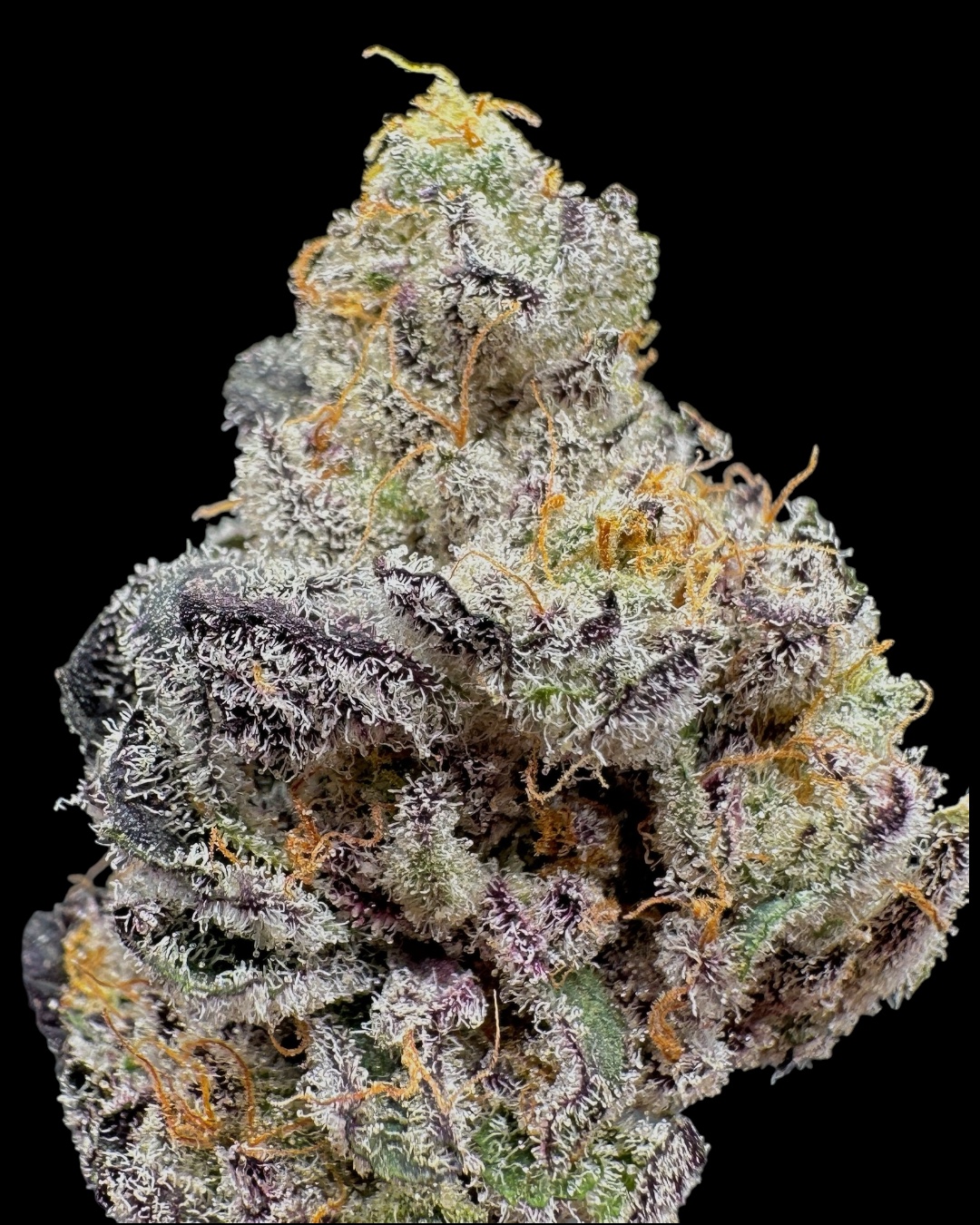 Cinnamon Rollz - [Victory Pharms]
