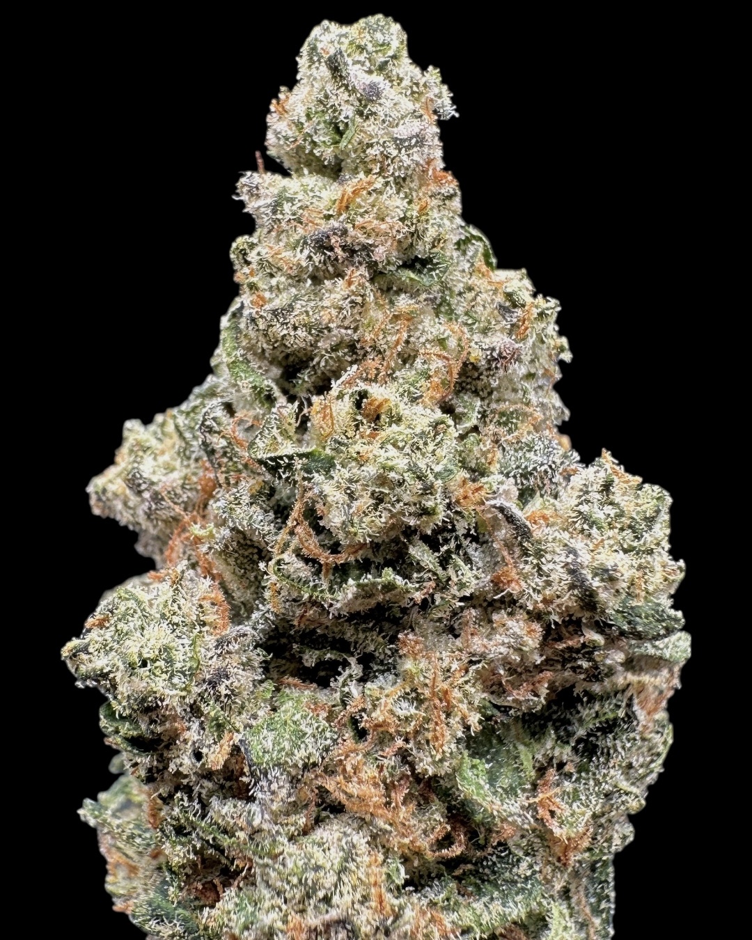 Cherry Pomelo - [Nebula Gardenz]