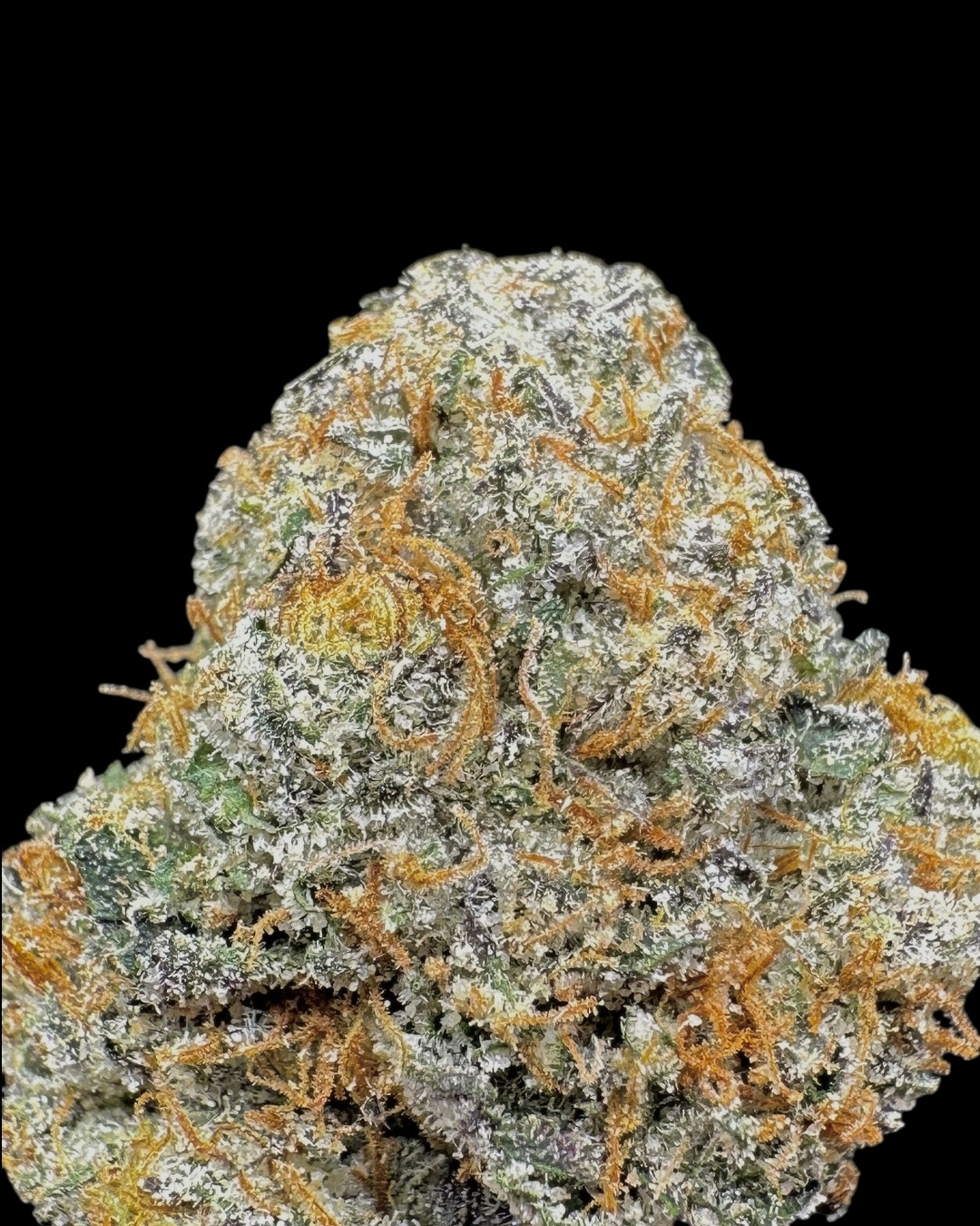 Killer Candy - [Locals Only]