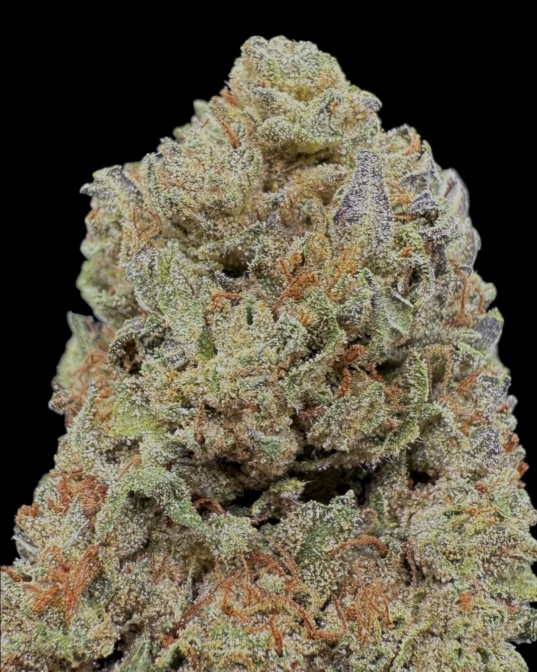 Black Cherry Runtz $60 Oz Special (2 Ozs for $100)