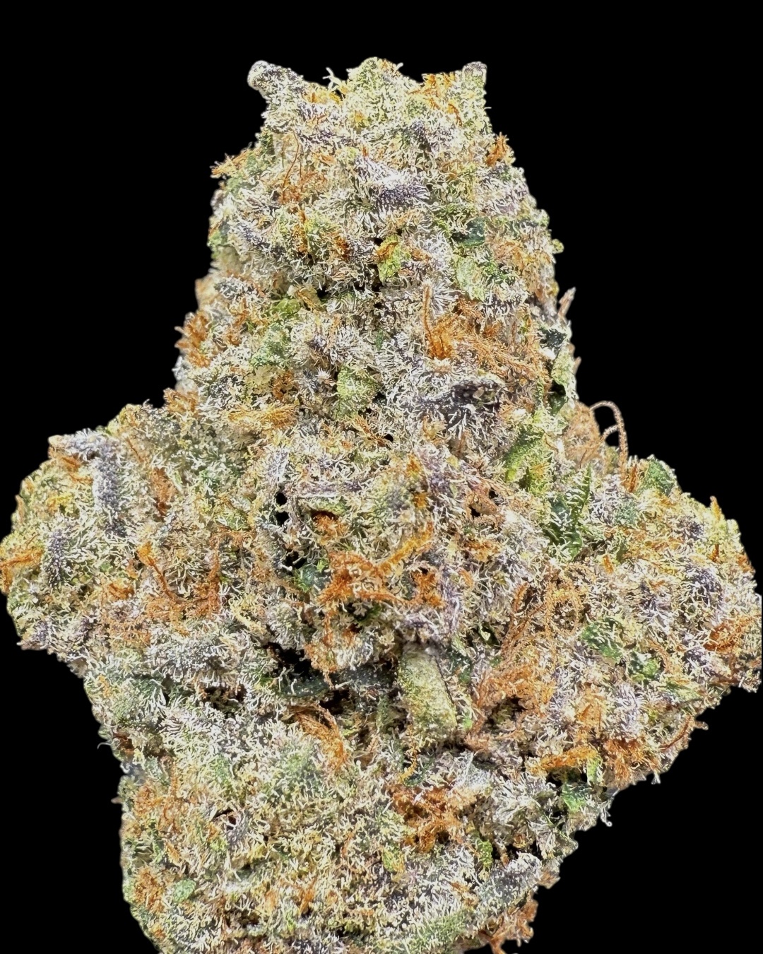 Mint Breath - [Nebula Gardenz]