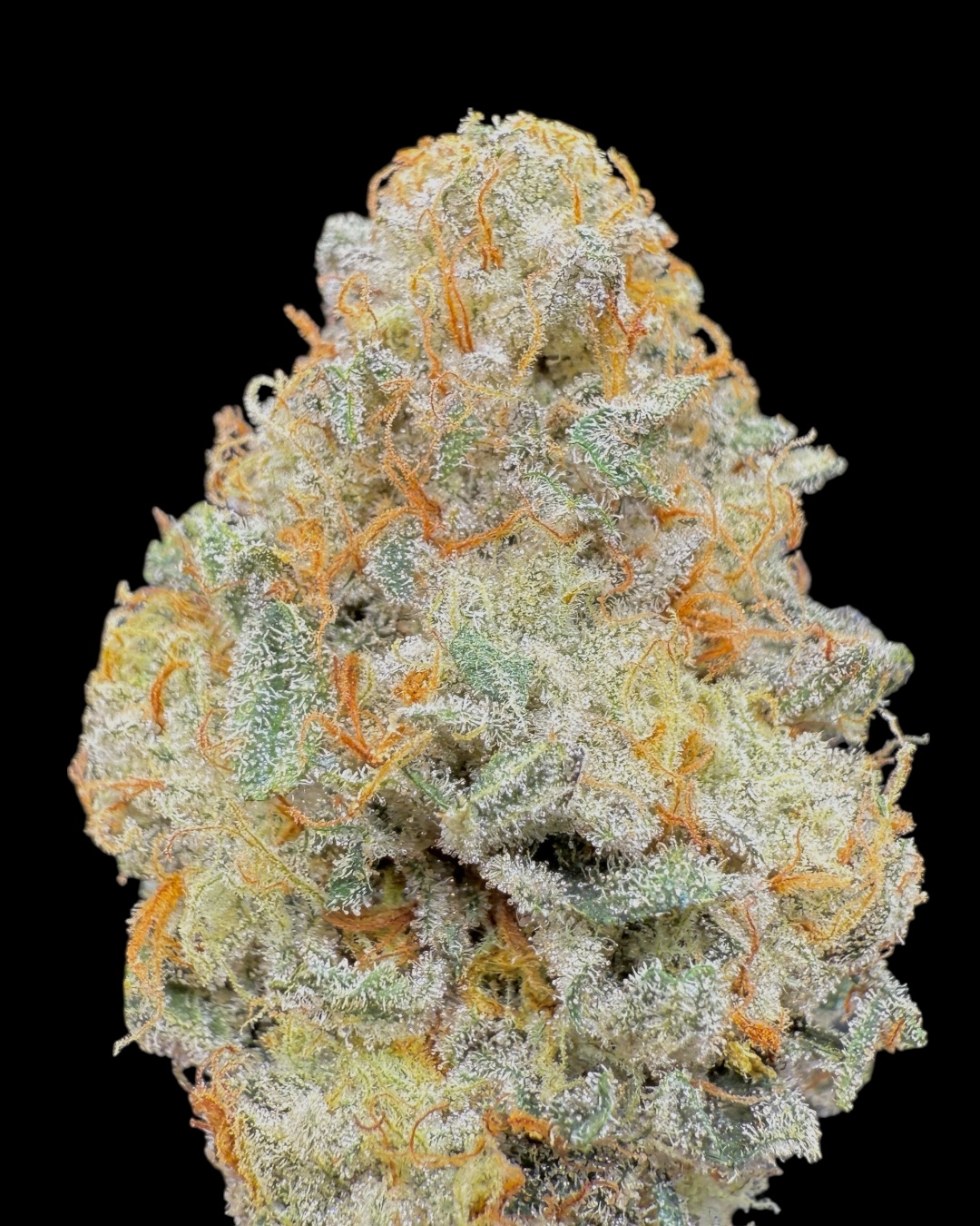 Z Pie - [Locals Only]