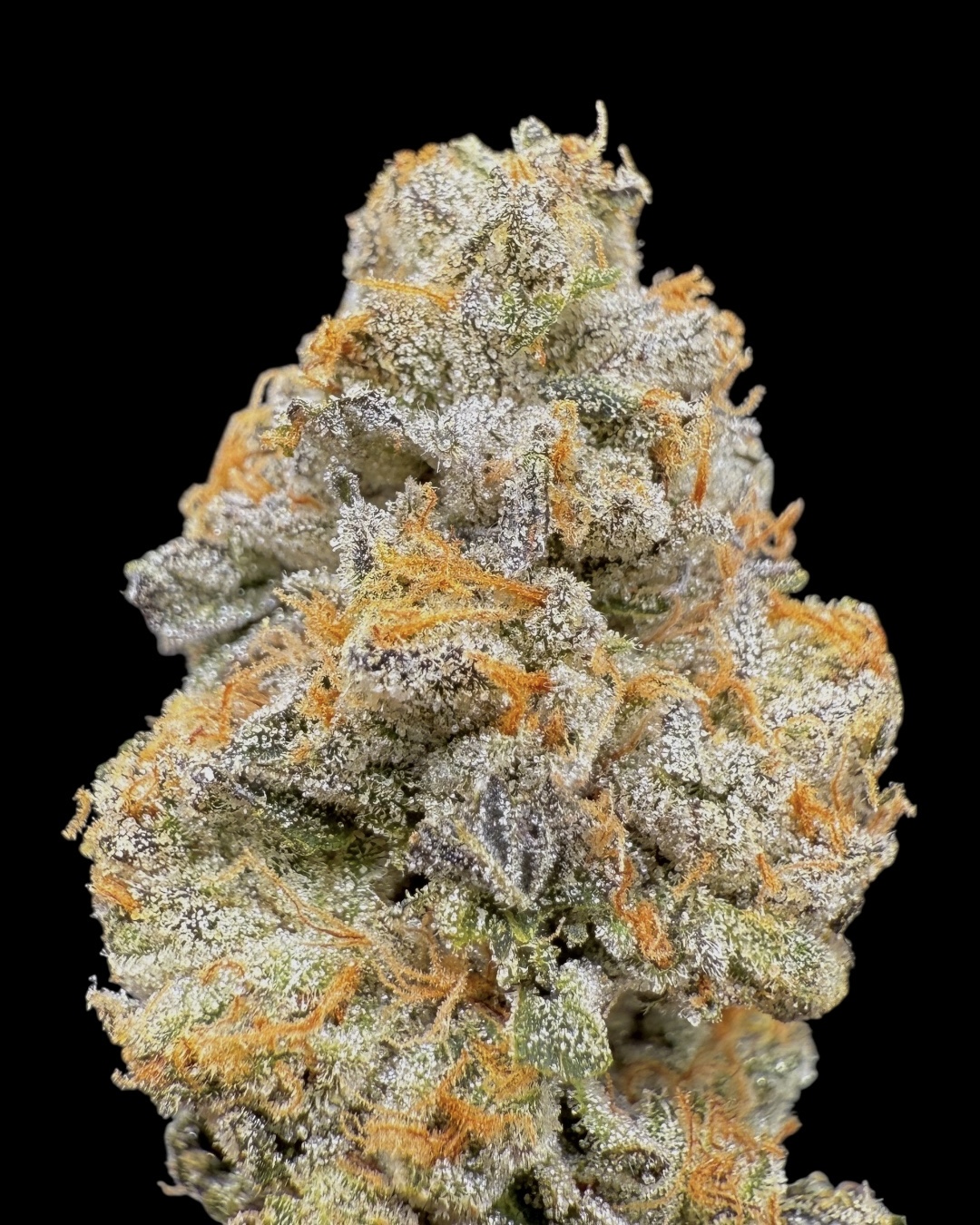 Apples & Bananas - [Locals Only]