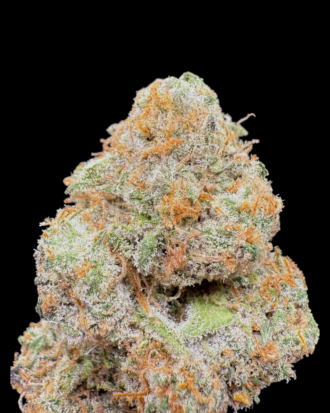 Strawberry Mango Haze - [Fresh Vibez]