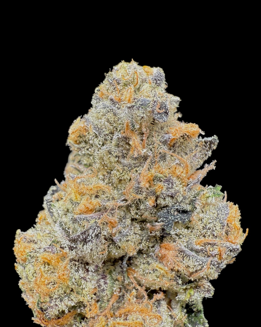 Girl Scout Cookies - [Fresh Vibez]