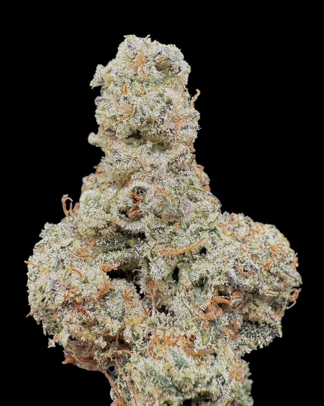 Paint Marker - [Nebula Gardenz]