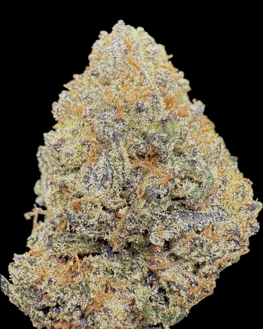 Sweet Retreat - [LA Daily Source]