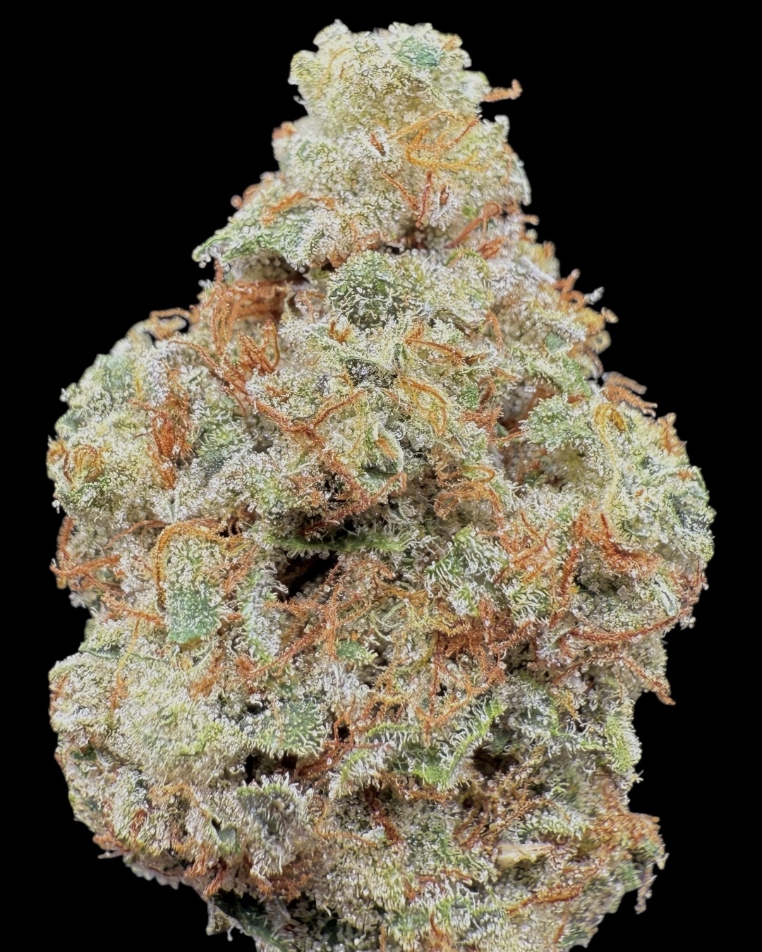 Shocktane - [Strickland Farms]