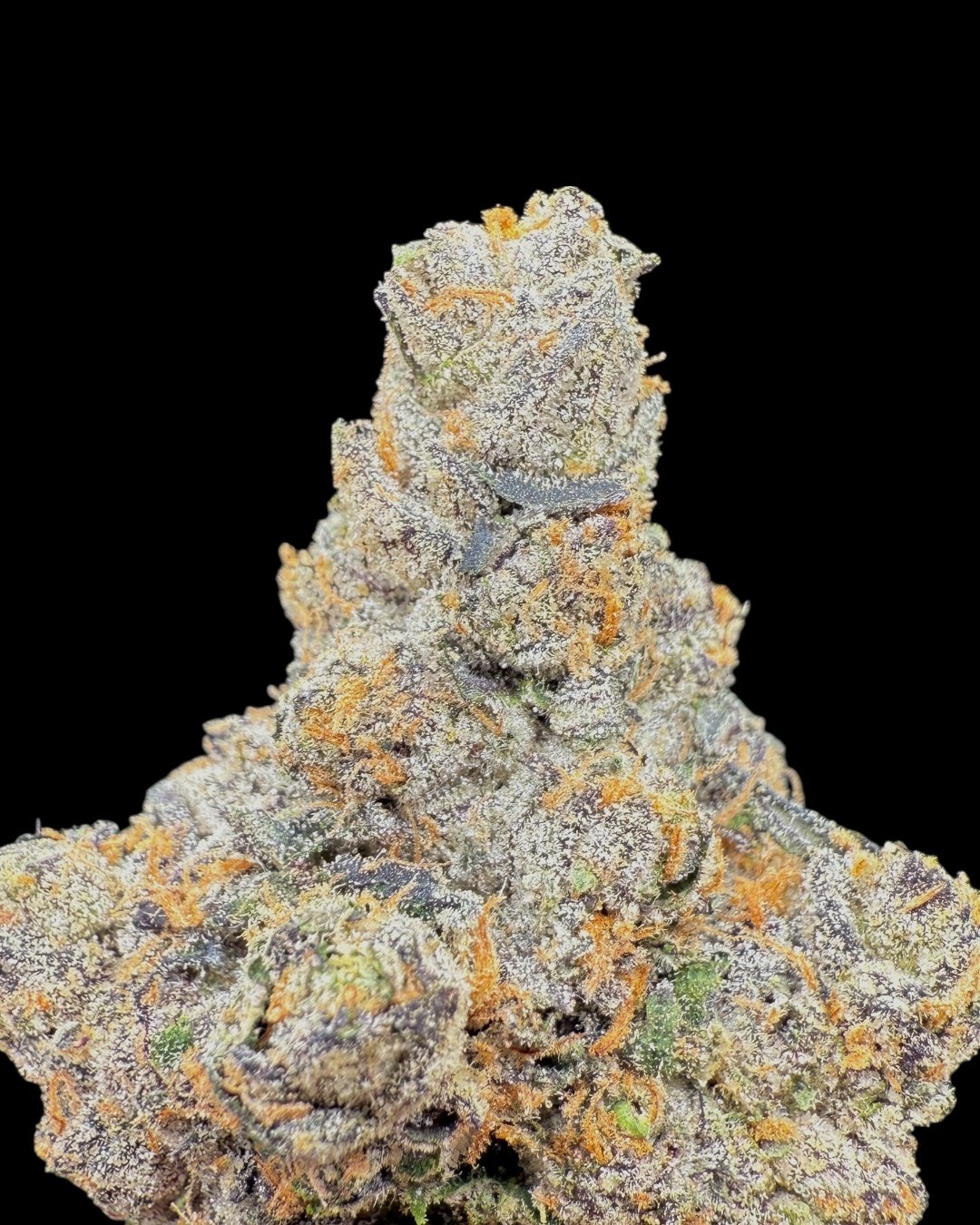 Street Meat - [Sour Wavez]