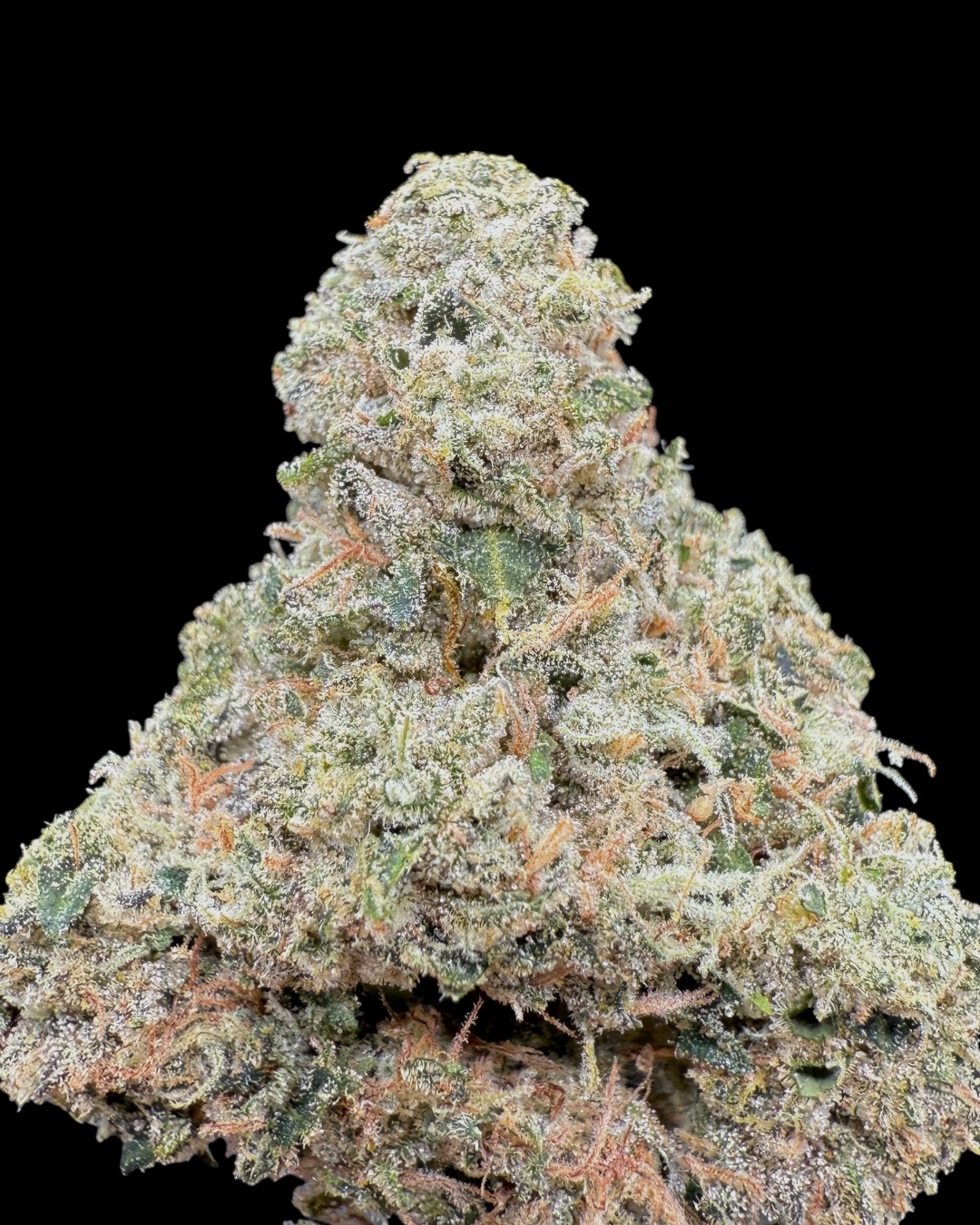 Head Trip - [Organic Habits]