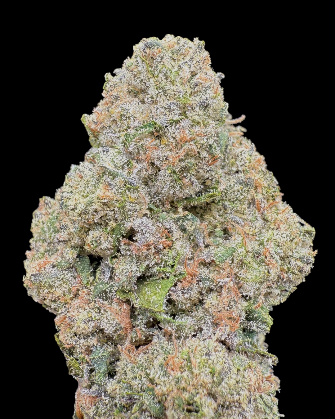 Pastel Rosa - [Organic Habits]