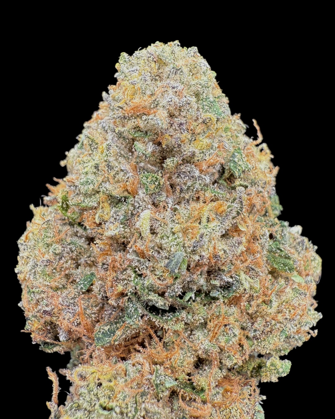 Zkittles x (RBB 3.0 x Blue Nerds) - [Organic Habits]