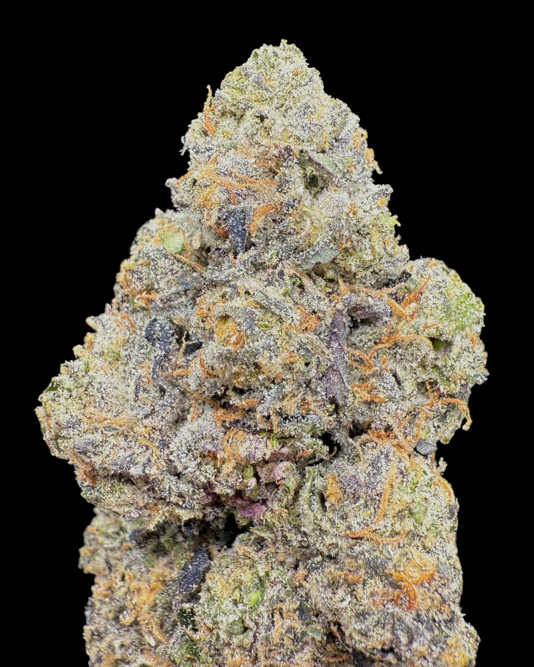 Candy Paint - [Doja x Backpackboyz x Preferred Gardens]