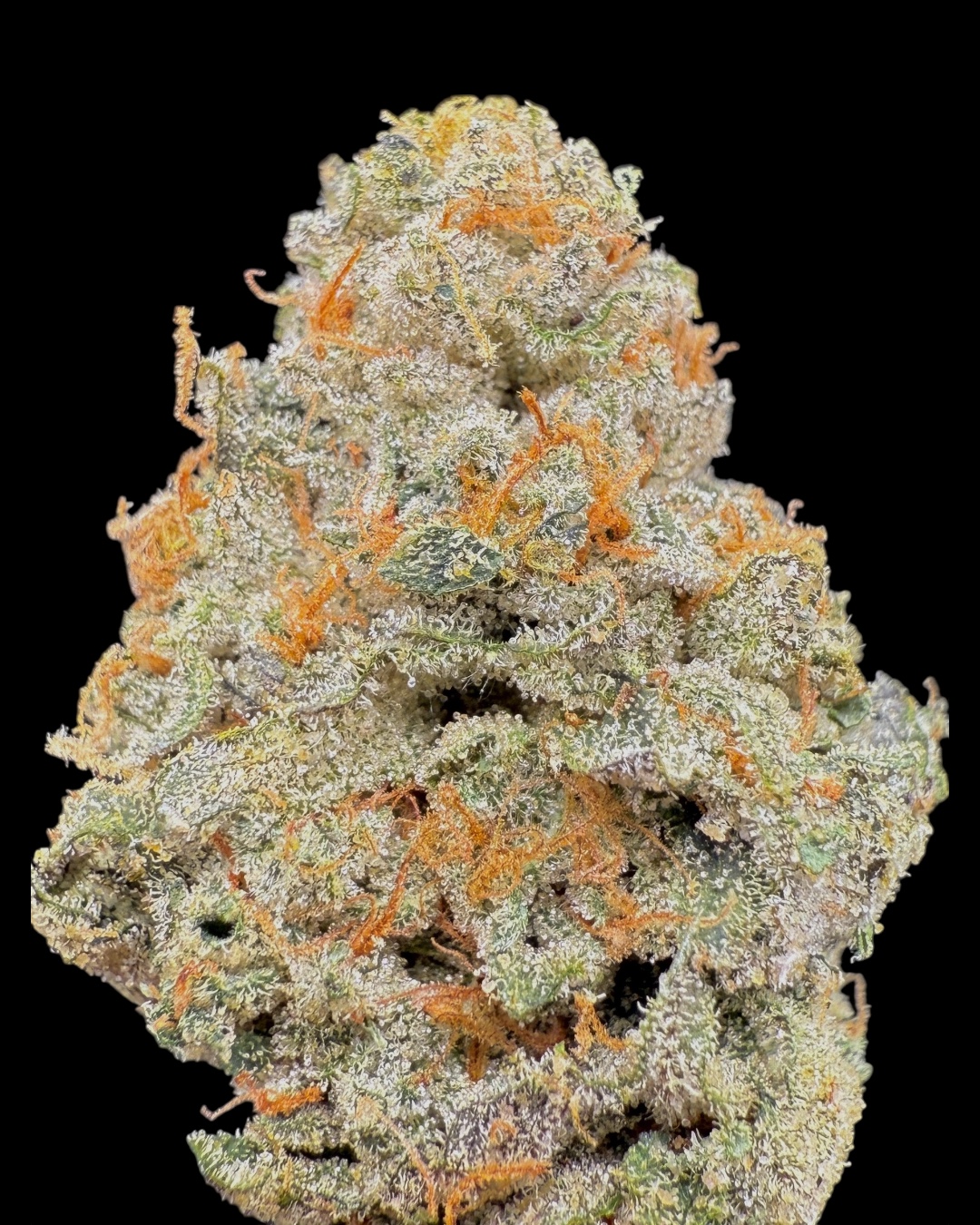 Georgia Bluez - [Locals Only]