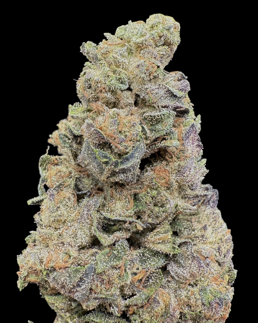 Black Runtz $70 Oz Special (2 Ozs for $120)