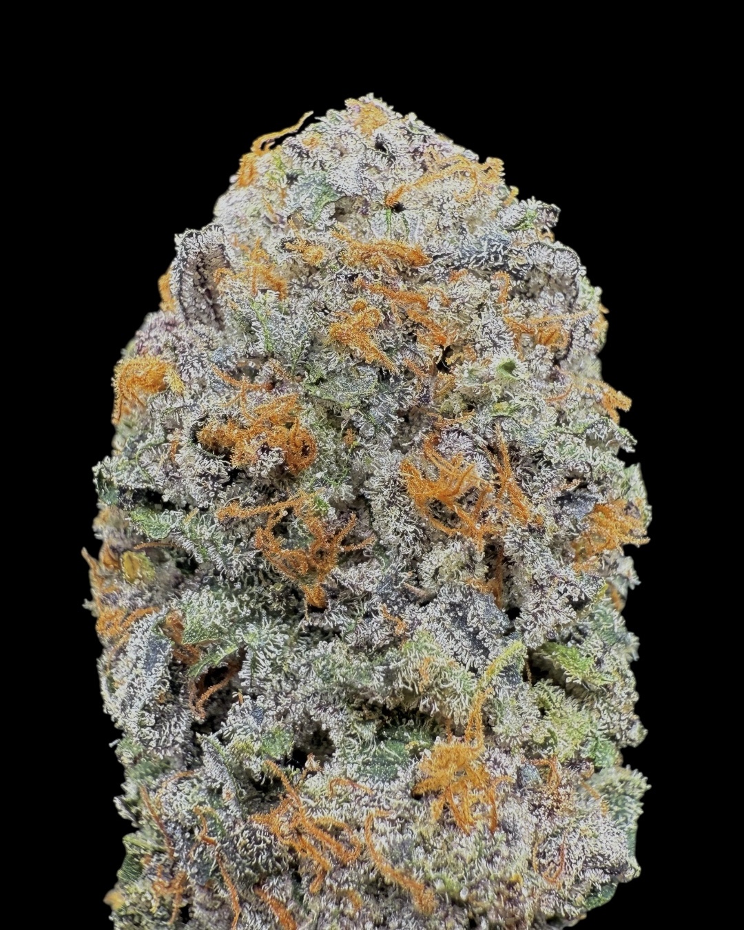 Baklava $130 Oz Special