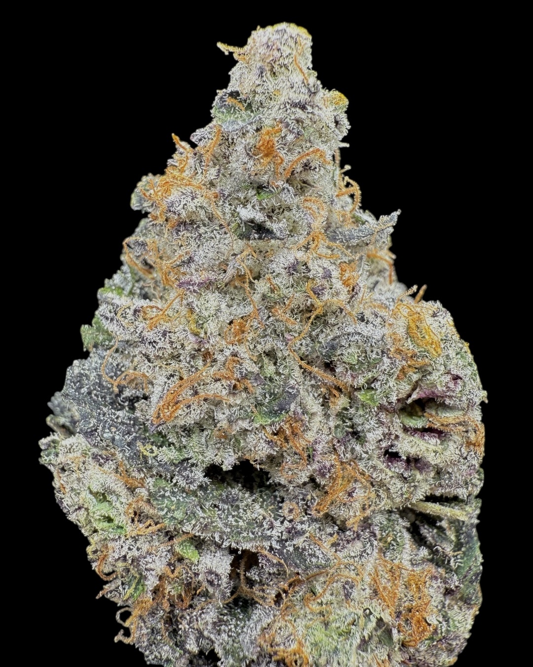 Biskante $130 Oz Special