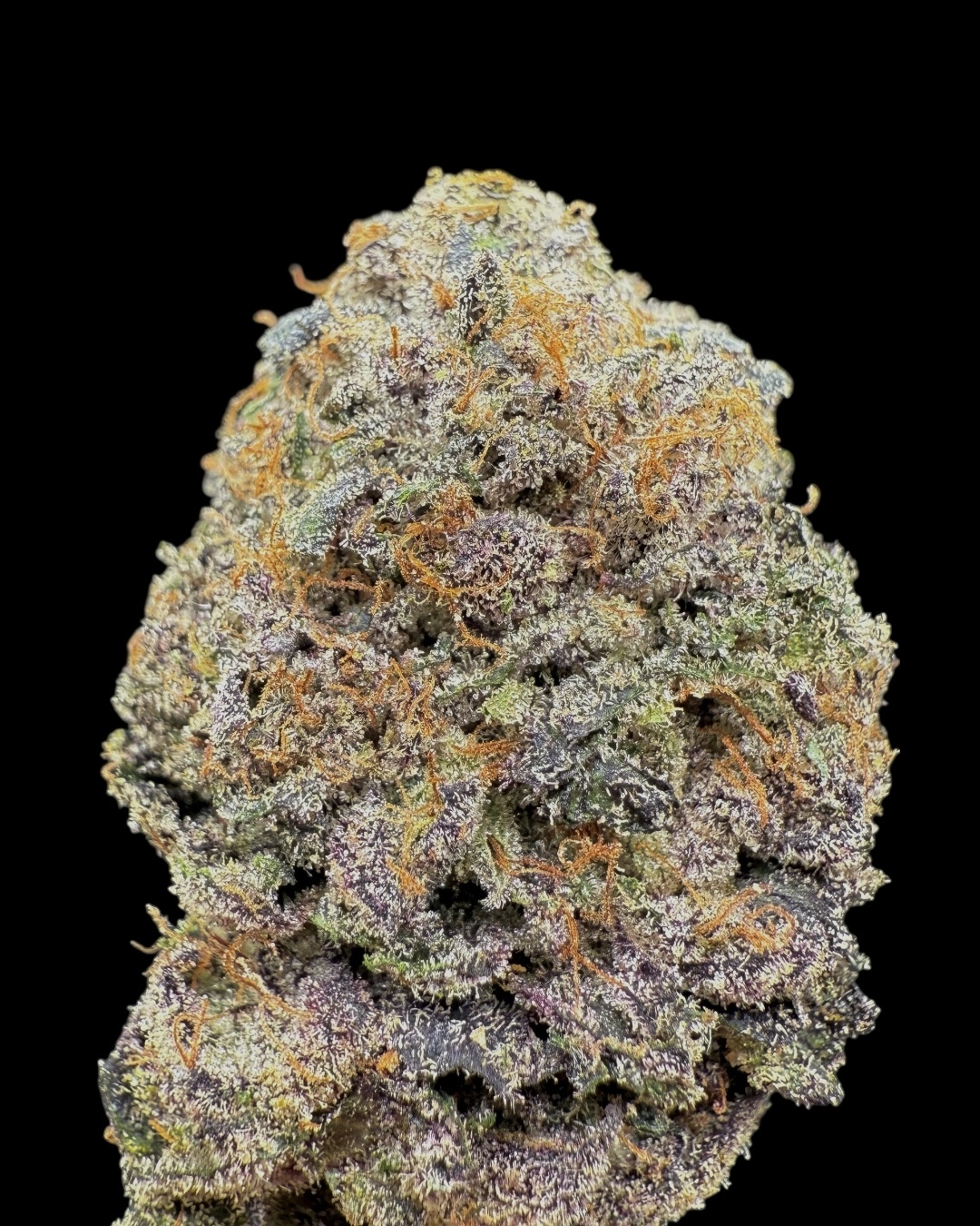 Zerbert $140 Oz Special