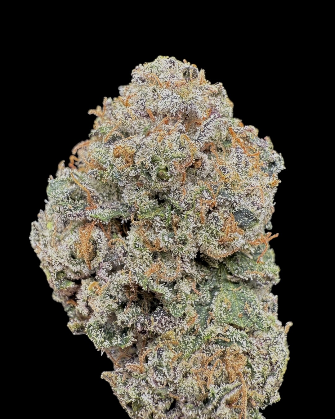 41 Nerdz $140 Oz Special