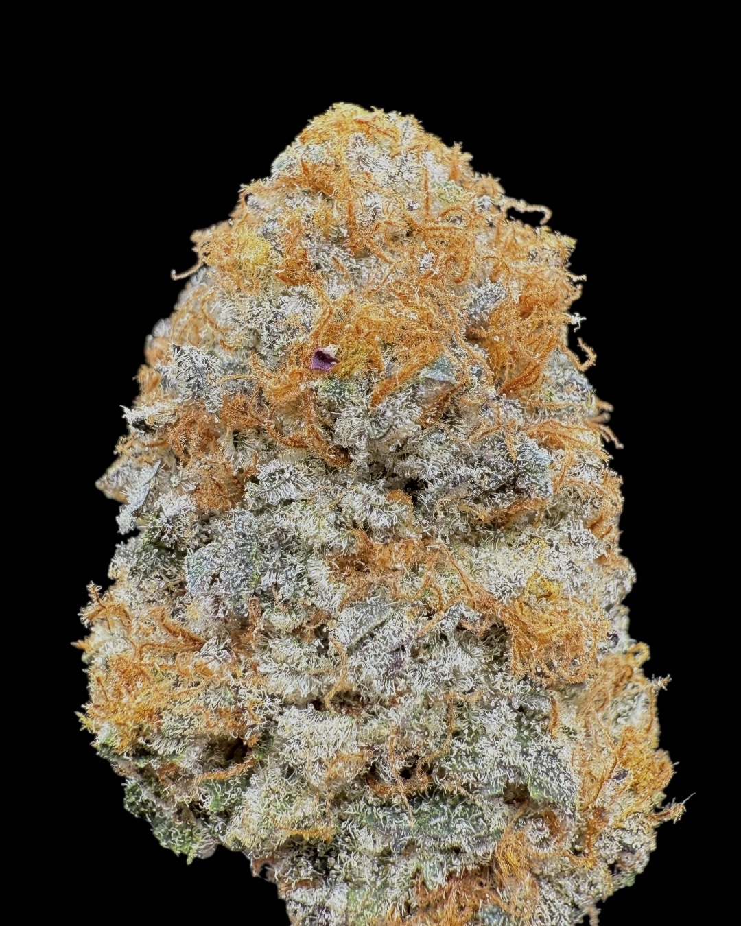 Permanent Chimera $180 Oz Special